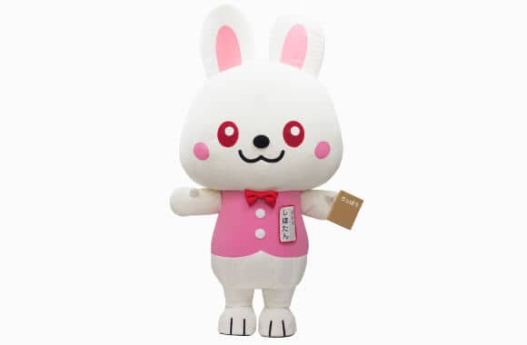 しほたん様 しほたん | 着ぐるみ制作会社キグルミックス
