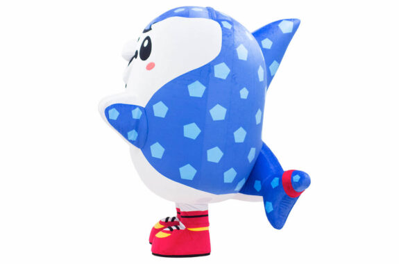 ジンベーニョの側面