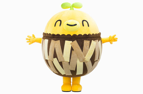 minonon1.jpg