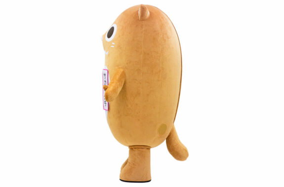 サカイタチの側面